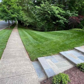 landscaping services by B&R Canelo Landscape reviewed on August 16, 2025