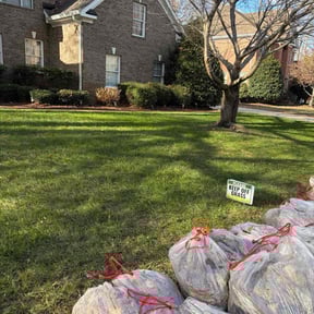 Leaf Removal by DR Lawn Care Services reviewed on December 14, 2025