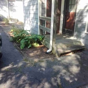 Leaf Removal by Lucero’s Landscaping reviewed on September 17, 2025