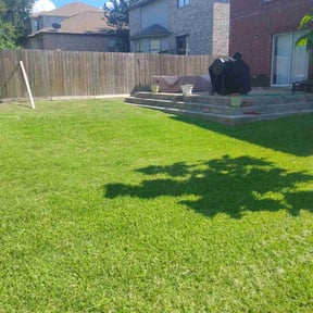 yard care by Whitetail property restoration reviewed on August 20, 2025