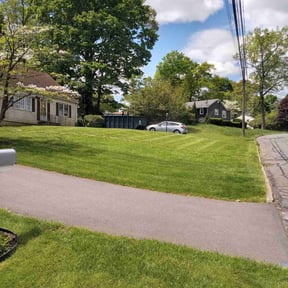 yard service by DCP Lawn Care LLC reviewed on August 21, 2025