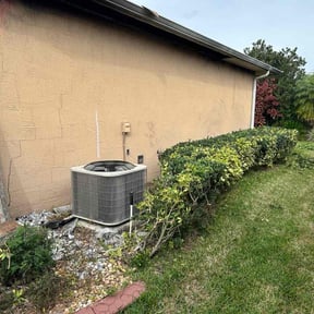 Bush Trimming by D&k Taylor lawn care reviewed on August 17, 2025