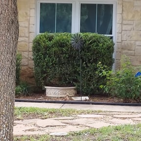 Bush Trimming by Reddy property care reviewed on August 18, 2025