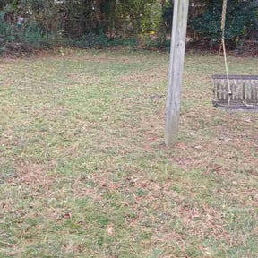 Leaf Removal by Shanequas cleaning service reviewed on November 29, 2025