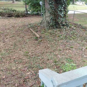 Leaf Removal by Tefel rivera reviewed on September 8, 2025