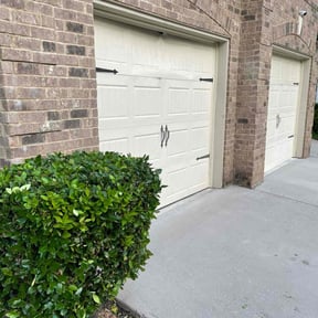 Bush Trimming by Belleaire Lawn Care reviewed on August 18, 2025