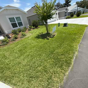 yard care by Andersen landscaping &amp; Design reviewed on January 1, 2026