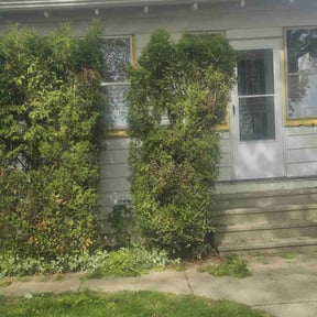 Bush Trimming by A Cut Above Lawn & Landscaping reviewed on August 17, 2025