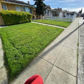 lawn care services by Landscaping Gomez reviewed on May 19, 2024