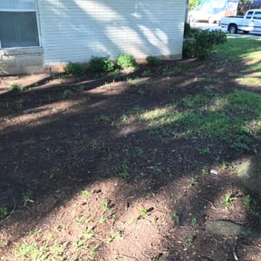 Leaf Removal by Orellana greens Landascaping reviewed on August 18, 2025