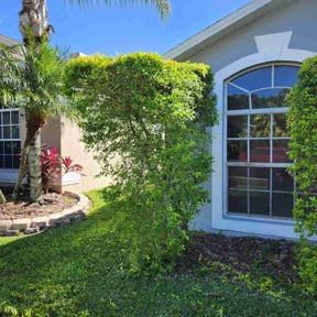 Bush Trimming by Álvarez Landscaping & Remodeling LLC reviewed on August 17, 2025