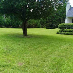 landscape maintenance by Get It Done Lawn Care reviewed on August 17, 2025