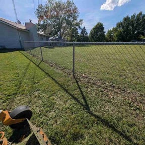 Leaf Removal by Big Phan LLC reviewed on July 10, 2026
