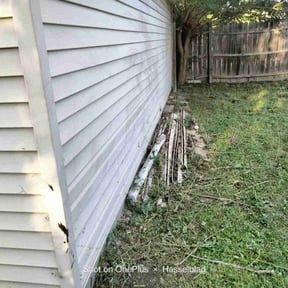 Bush Trimming by LD Brown Landscaping And Pressure Washing reviewed on August 18, 2025