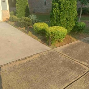 Bush Trimming by Real care property maintenance reviewed on August 17, 2025