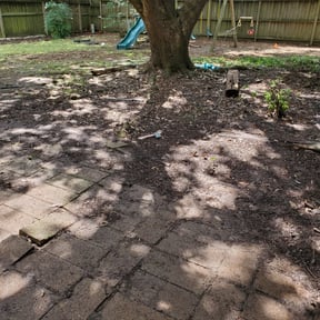 Leaf Removal by The Generals Lawncare reviewed on August 20, 2025