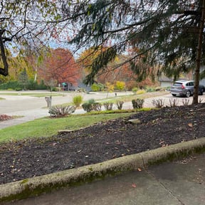 Leaf Removal by Yellowstone Land Enterprise reviewed on October 24, 2025