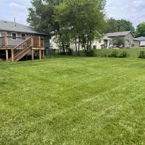 lawn care services by Mtb Lawn Care reviewed on August 20, 2025