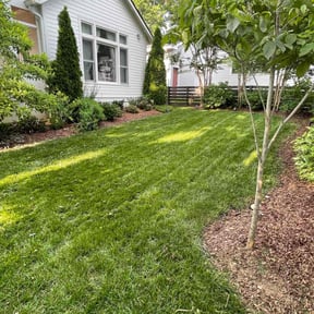 yard service by Lawn Junkie reviewed on August 17, 2025
