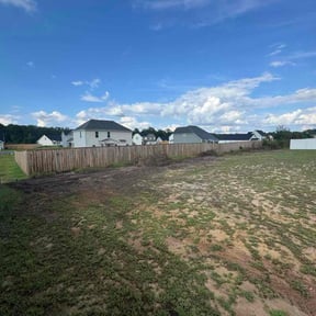 Leaf Removal by Dr. Lawns reviewed on September 20, 2025