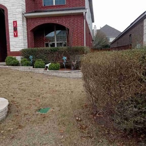 Bush Trimming by Ralph & sons property maintenance reviewed on August 20, 2025