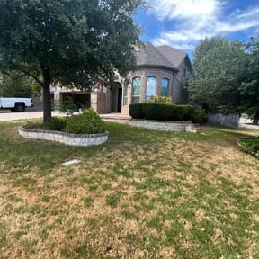Bush Trimming by Qui property management reviewed on August 21, 2025