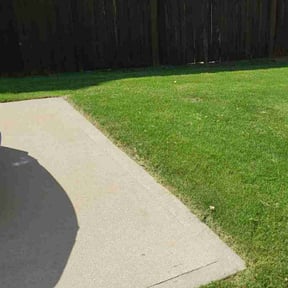 grass maintenance by CW Unlimited Enterprise LLC reviewed on May 11, 2024