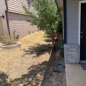 Bush Trimming by UnlimitedGroundCare. reviewed on August 19, 2025