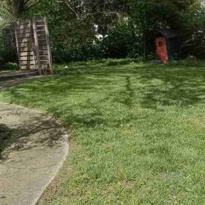 Flower Bed Weeding by Nature’s landscaping reviewed on August 22, 2026