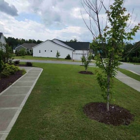 landscape maintenance by Mark Cowper Lawn and Landscape Maintenance reviewed on August 17, 2025