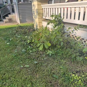 Flower Bed Weeding by Cummings and Cummings Lawn Care reviewed on August 28, 2026