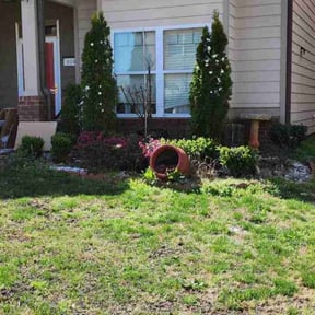 Bush Trimming by Biggstrik3r landscaping and pressure washing LLC reviewed on August 15, 2025