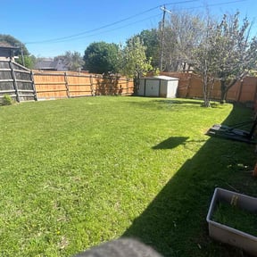 yard maintenance by Florida Landscape and Mowing reviewed on August 20, 2025
