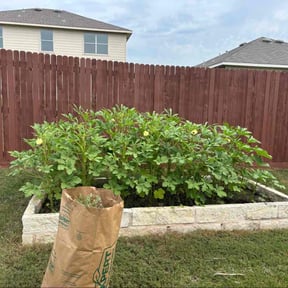 Flower Bed Weeding by G M Services LLC reviewed on November 24, 2025