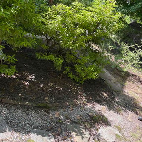 Leaf Removal by Top's Lawn Care reviewed on June 14, 2026