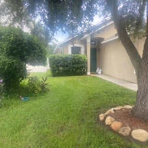 Bush Trimming by FLA Mowers LLC reviewed on February 25, 2025