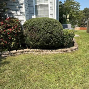Bush Trimming by Jesse&#039;s Lawn Service reviewed on November 6, 2025