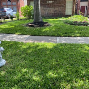 yard care by eMowBCS.com reviewed on August 20, 2025