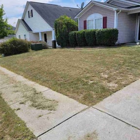 Bush Trimming by Avilas Landscape and Hauling reviewed on July 8, 2026