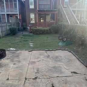 Bush Trimming by Chacon Lawn Care reviewed on August 17, 2025
