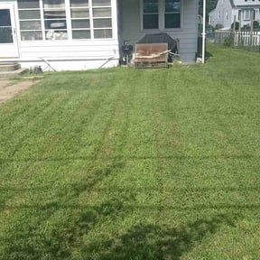 turf maintenance by KHERIBOT LSC reviewed on August 26, 2024