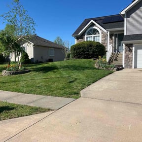 landscape maintenance by Better Than Most Lawn Services reviewed on August 20, 2025