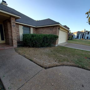 Bush Trimming by Torres Lawn Care reviewed on August 21, 2025