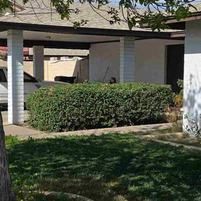 Bush Trimming by TS LAWN CARE LLC reviewed on February 20, 2026