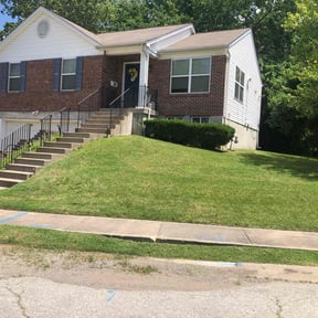 turf care by CyntMara Home and Lawns reviewed on August 15, 2025