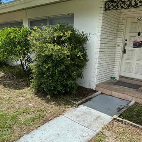 Bush Trimming by NRB Landscape Services reviewed on August 16, 2025