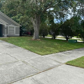 landscaping by Aplus lawncare and tree trim reviewed on November 20, 2025