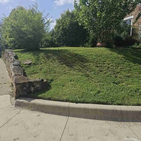 lawn care services by 3 Amigos Landscaping  reviewed on June 29, 2023