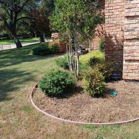 Flower Bed Weeding by Sosa&#039;s Lawn Care &amp; Design LLC reviewed on November 27, 2025