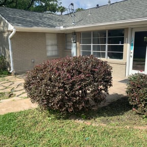 Bush Trimming by S&S Lawn Care reviewed on August 17, 2025
